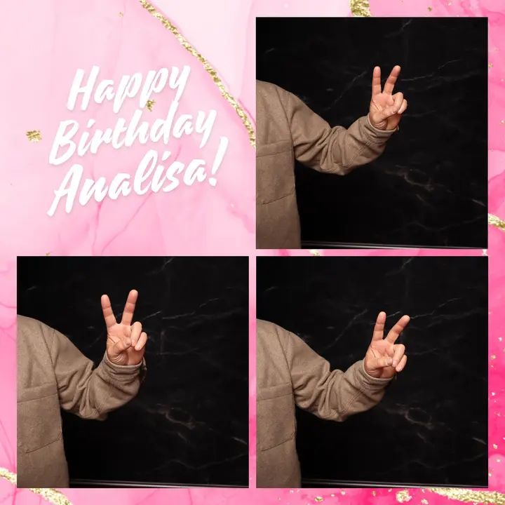 Analisa's Birthday Bash Feb 2025 at TDR gallery photo