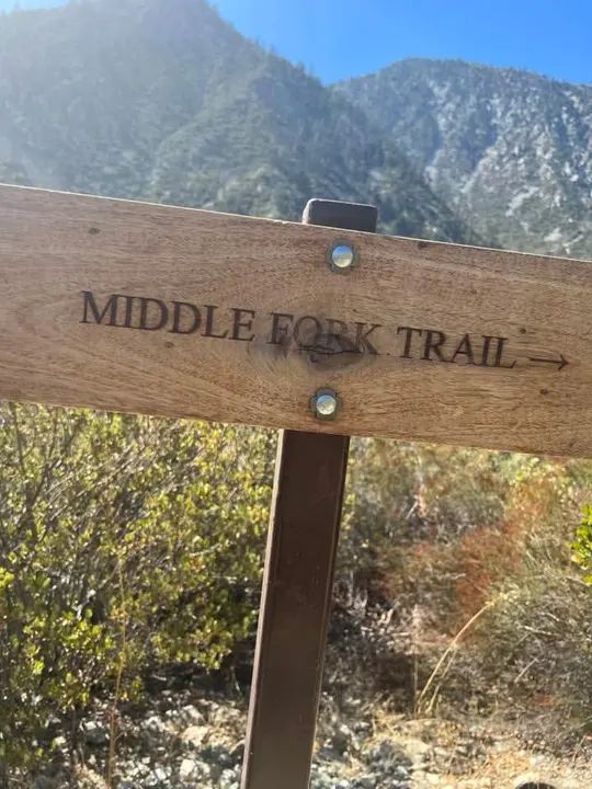 Melómano Hiking Trip ☀️🪵🌳 gallery photo