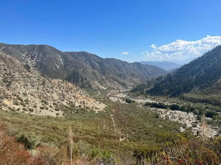 Melómano Hiking Trip ☀️🪵🌳 gallery photo