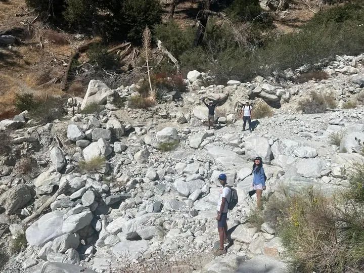 Melómano Hiking Trip ☀️🪵🌳 gallery photo