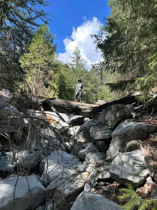 Melómano Hiking Trip ☀️🪵🌳 gallery photo