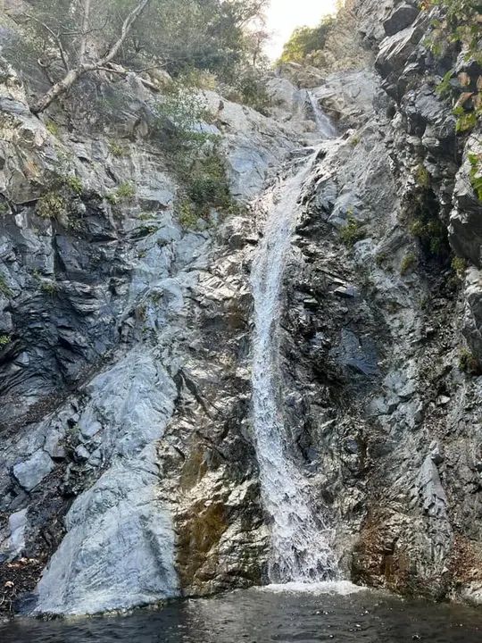 Melómano Hiking Trip ☀️🪵🌳 gallery photo