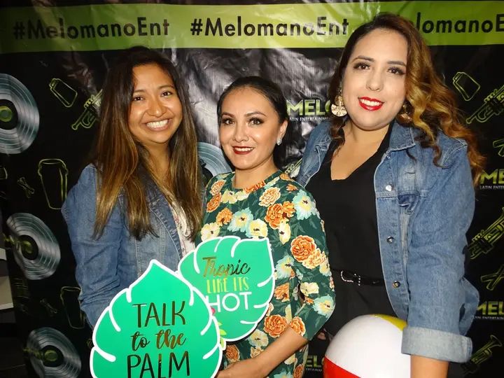 Melómano Debut - Summer Affair 2019 - PART 2 gallery photo