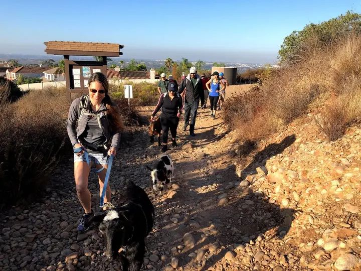 Melómano Hike! gallery photo