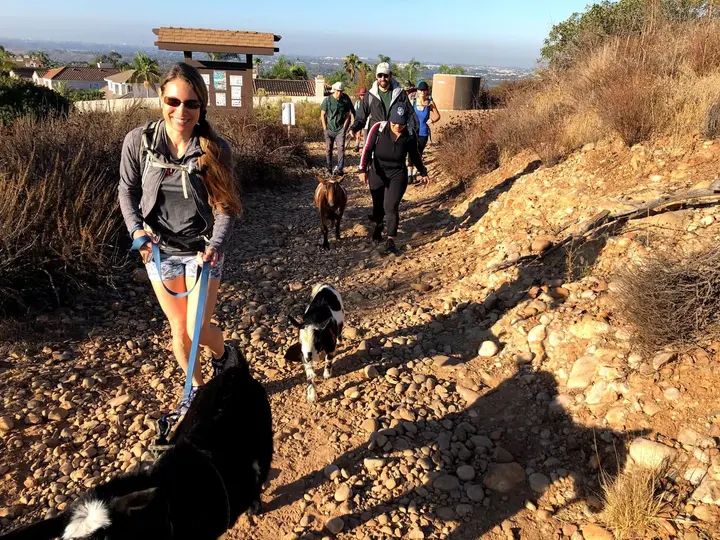 Melómano Hike! gallery photo