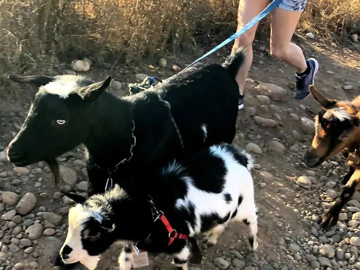Melómano Hike! gallery photo