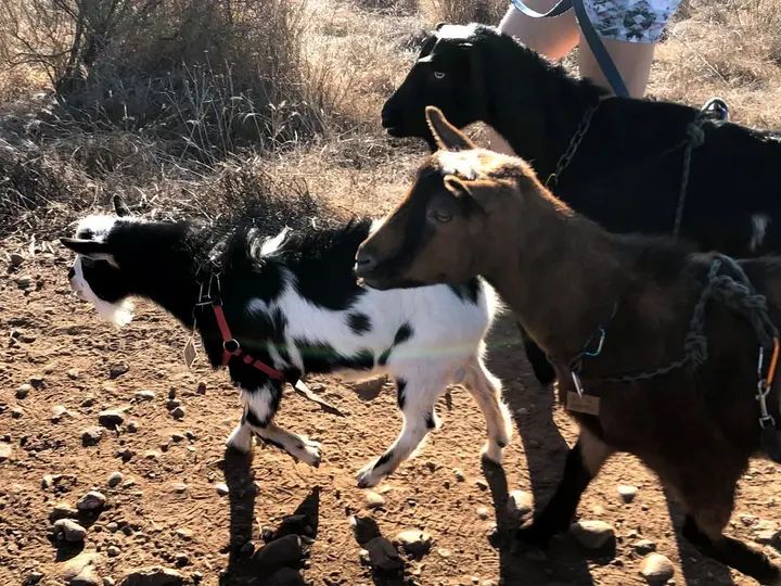 Melómano Hike! gallery photo