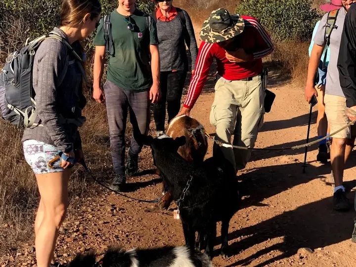 Melómano Hike! gallery photo