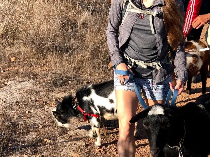 Melómano Hike! gallery photo