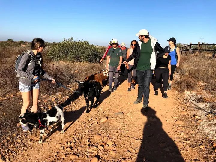 Melómano Hike! gallery photo