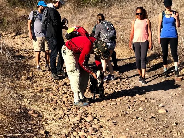 Melómano Hike! gallery photo