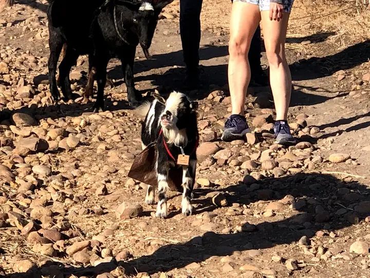 Melómano Hike! gallery photo