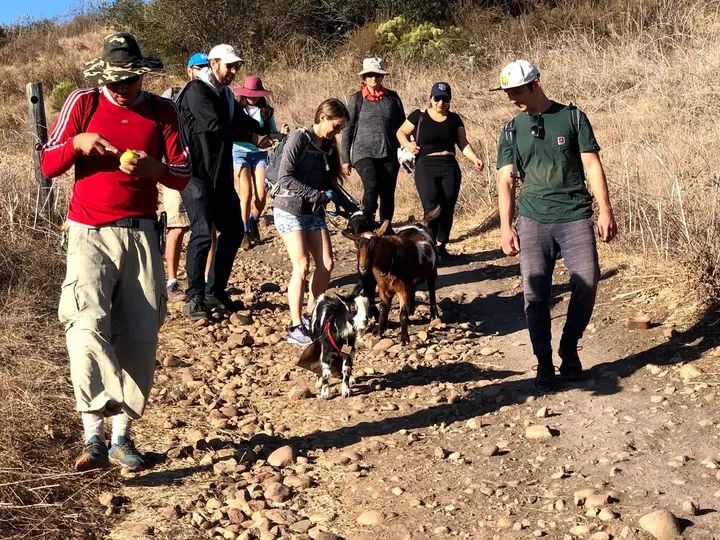 Melómano Hike! gallery photo