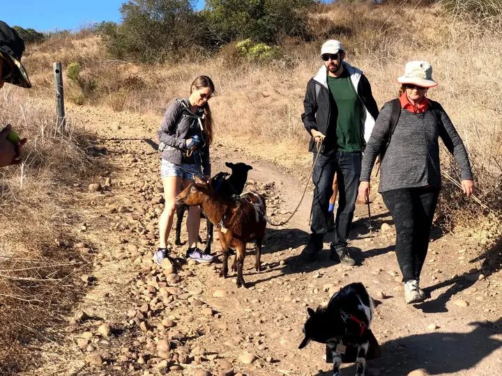 Melómano Hike! gallery photo