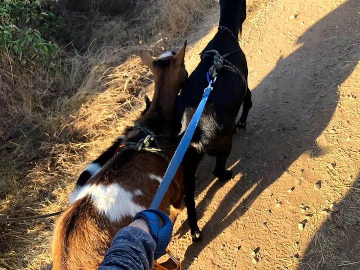 Melómano Hike! gallery photo