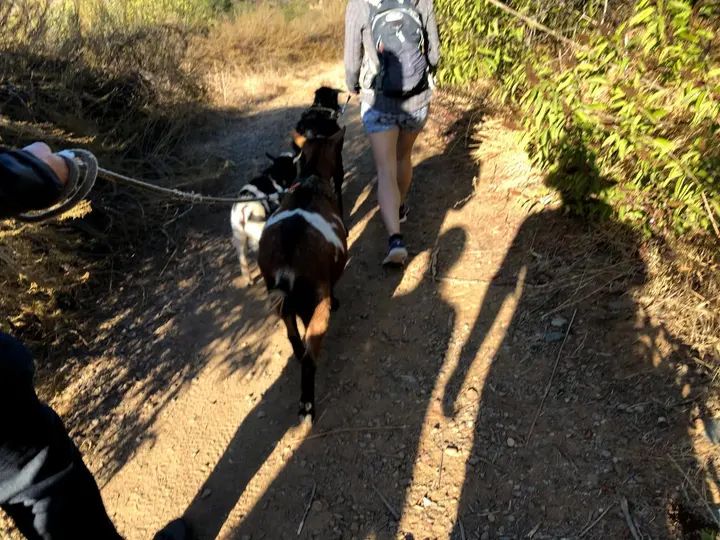 Melómano Hike! gallery photo