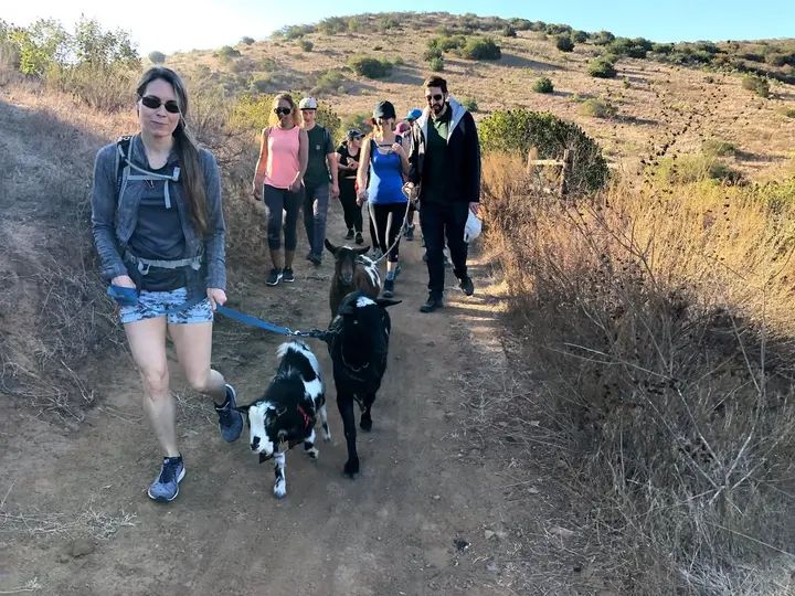 Melómano Hike! gallery photo