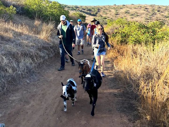 Melómano Hike! gallery photo