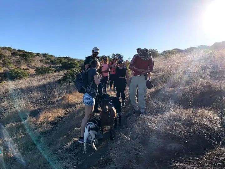 Melómano Hike! gallery photo