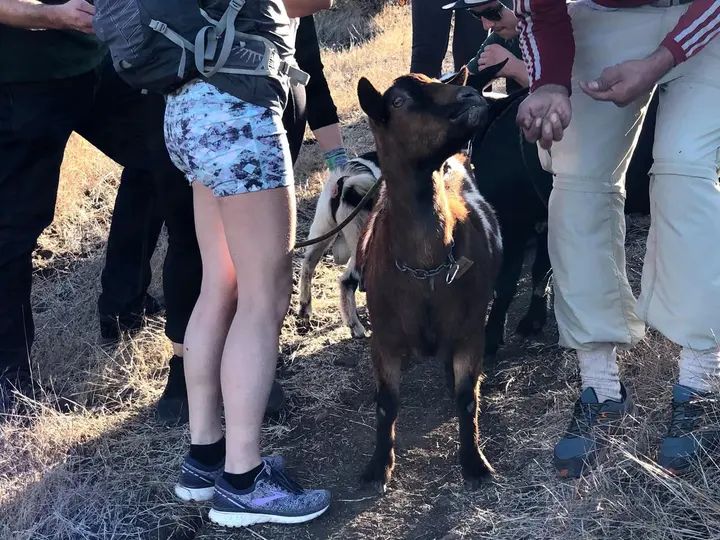 Melómano Hike! gallery photo