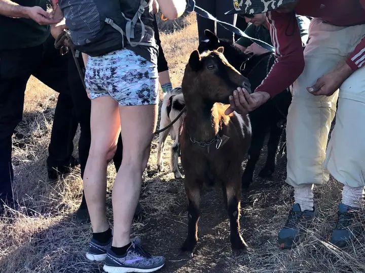 Melómano Hike! gallery photo