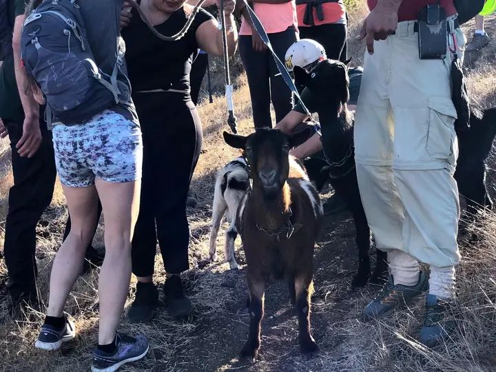 Melómano Hike! gallery photo