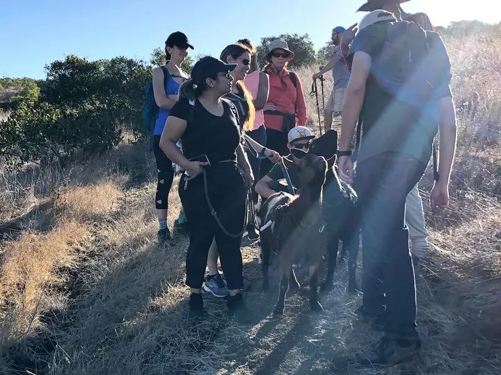 Melómano Hike! gallery photo