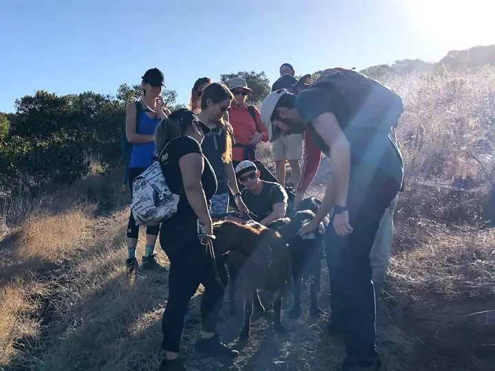 Melómano Hike! gallery photo