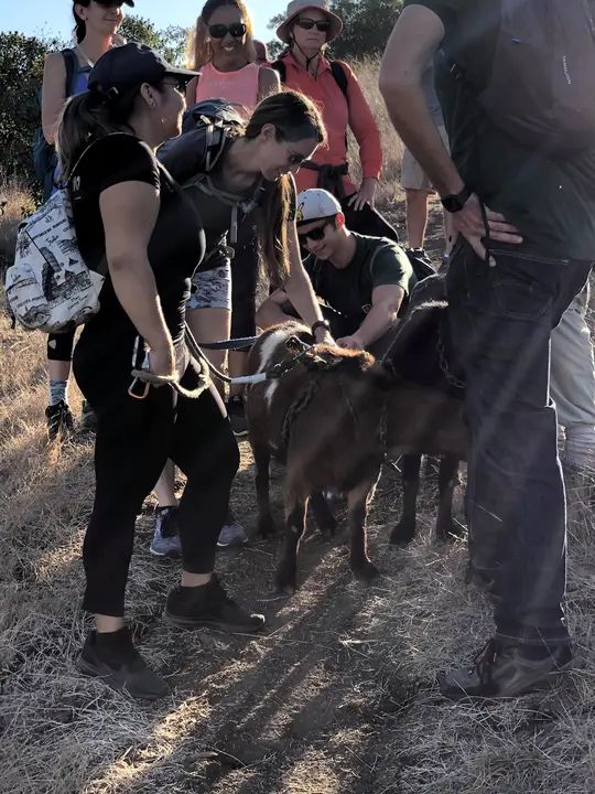 Melómano Hike! gallery photo