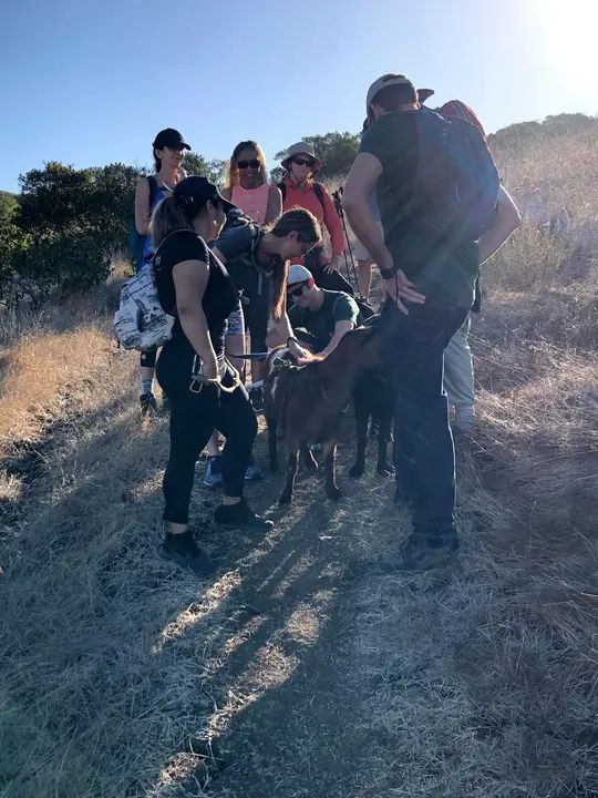 Melómano Hike! gallery photo