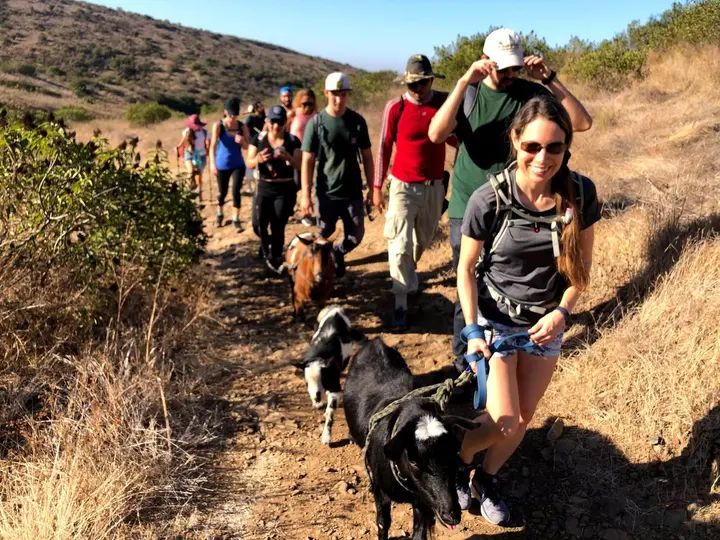 Melómano Hike! gallery photo