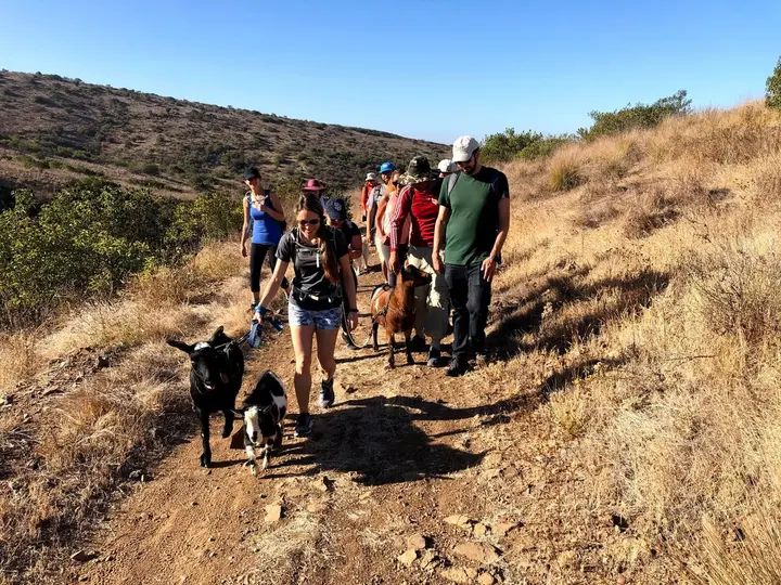 Melómano Hike! gallery photo