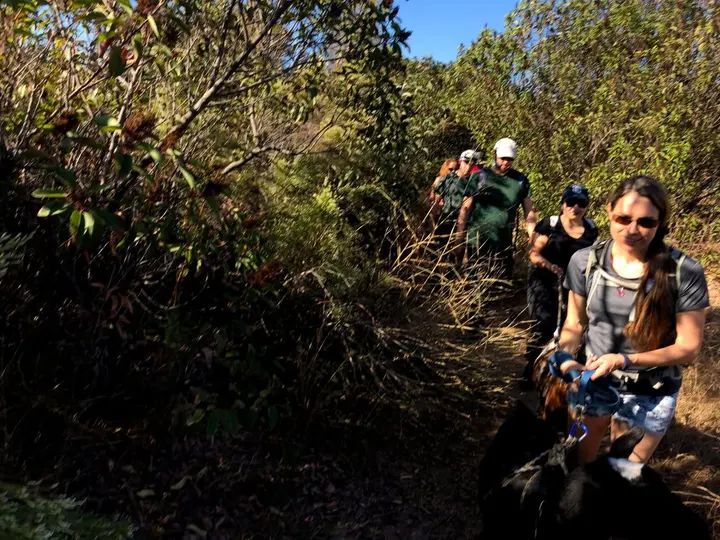 Melómano Hike! gallery photo