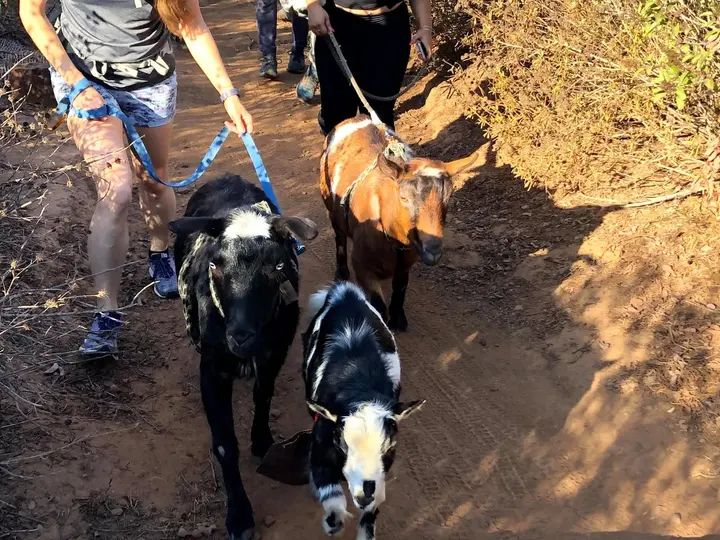 Melómano Hike! gallery photo