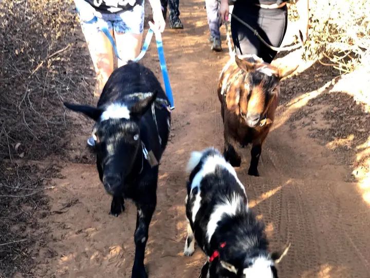 Melómano Hike! gallery photo