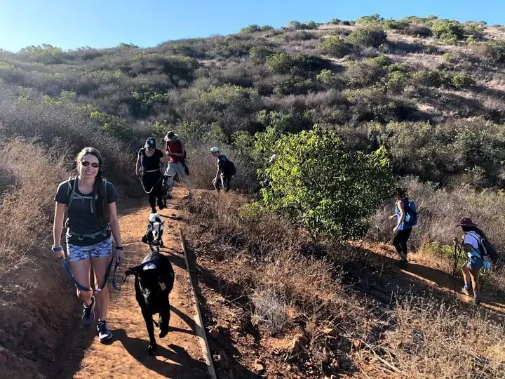 Melómano Hike! gallery photo
