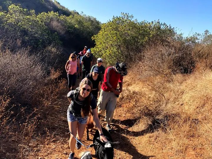Melómano Hike! gallery photo