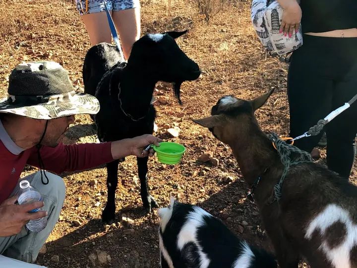 Melómano Hike! gallery photo