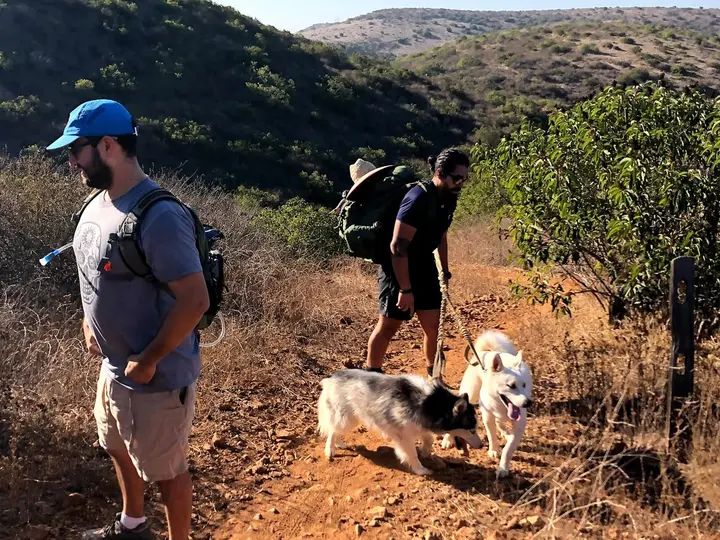 Melómano Hike! gallery photo