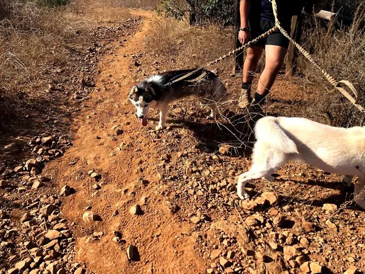 Melómano Hike! gallery photo