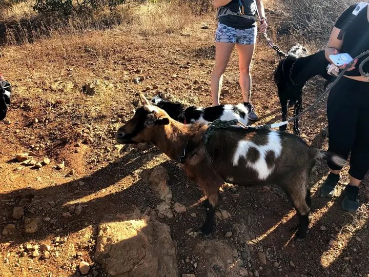 Melómano Hike! gallery photo