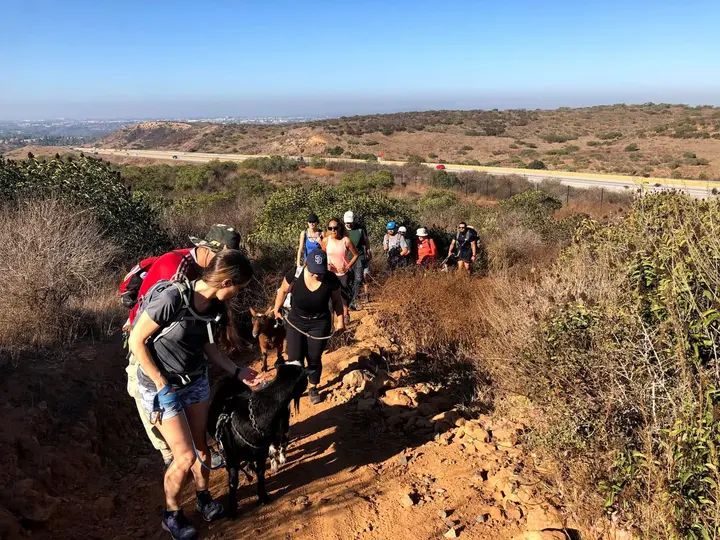 Melómano Hike! gallery photo