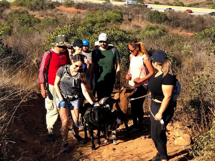 Melómano Hike! gallery photo