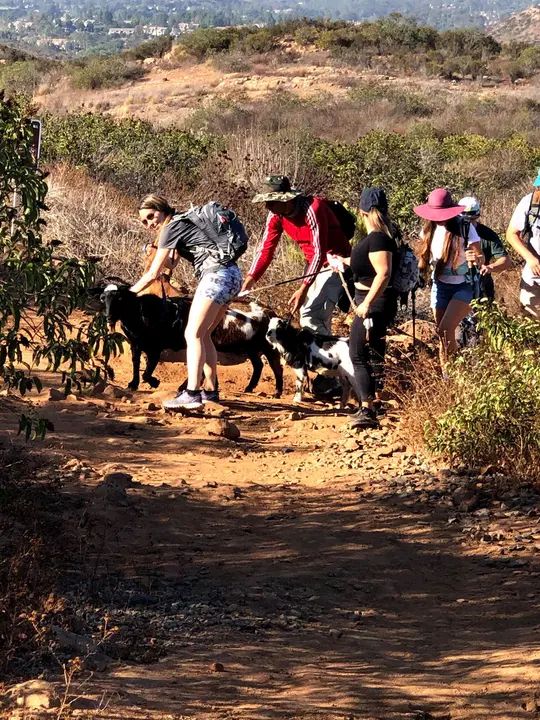 Melómano Hike! gallery photo