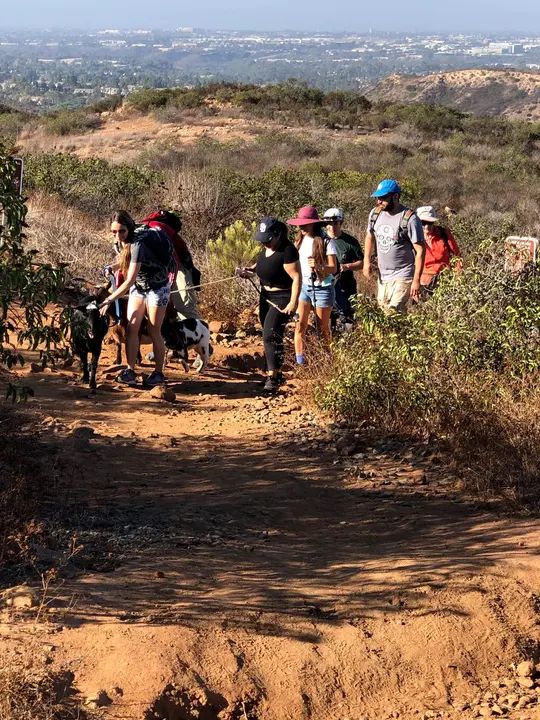 Melómano Hike! gallery photo