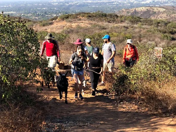 Melómano Hike! gallery photo
