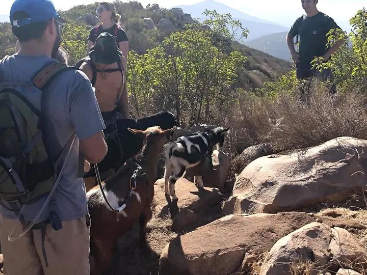 Melómano Hike! gallery photo