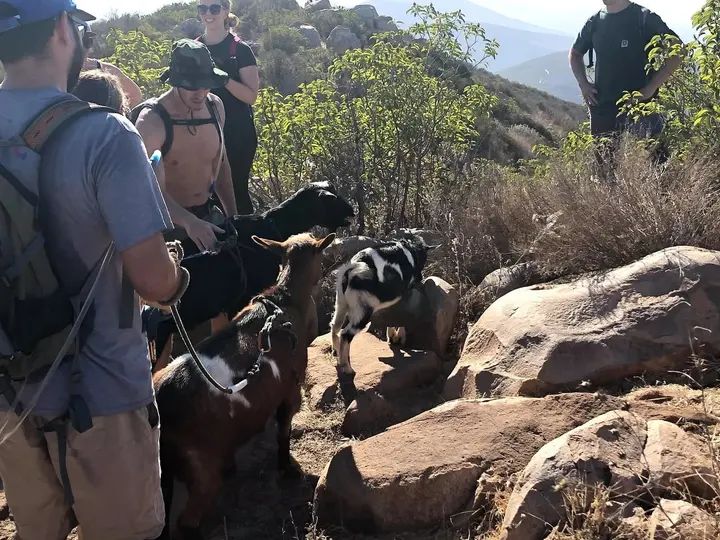 Melómano Hike! gallery photo