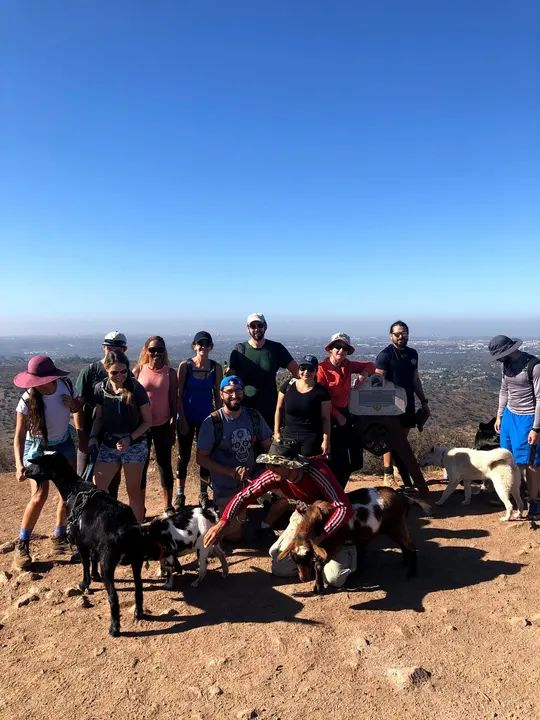 Melómano Hike! gallery photo