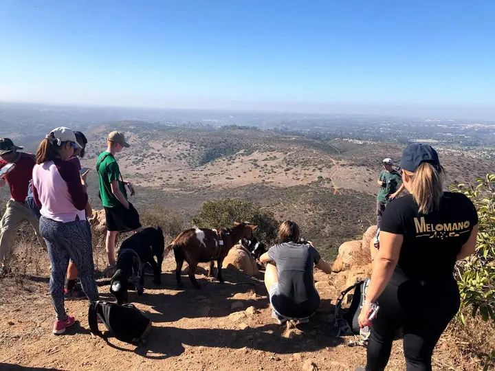 Melómano Hike! gallery photo